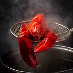 Crayfish